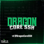 Logo of DragonCoreSSH android Application 